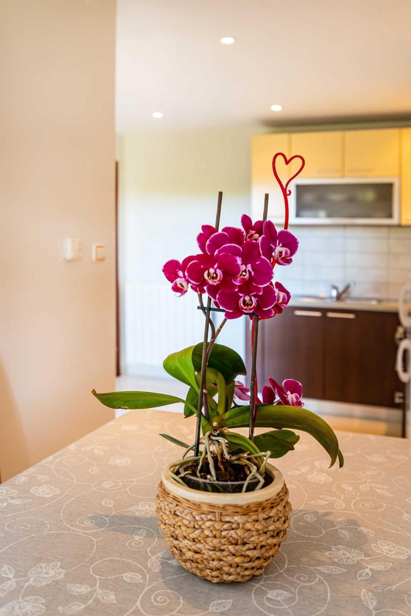 Apartment House Simoni With Pool, Zadar County ปริฟลากา ภายนอก รูปภาพ